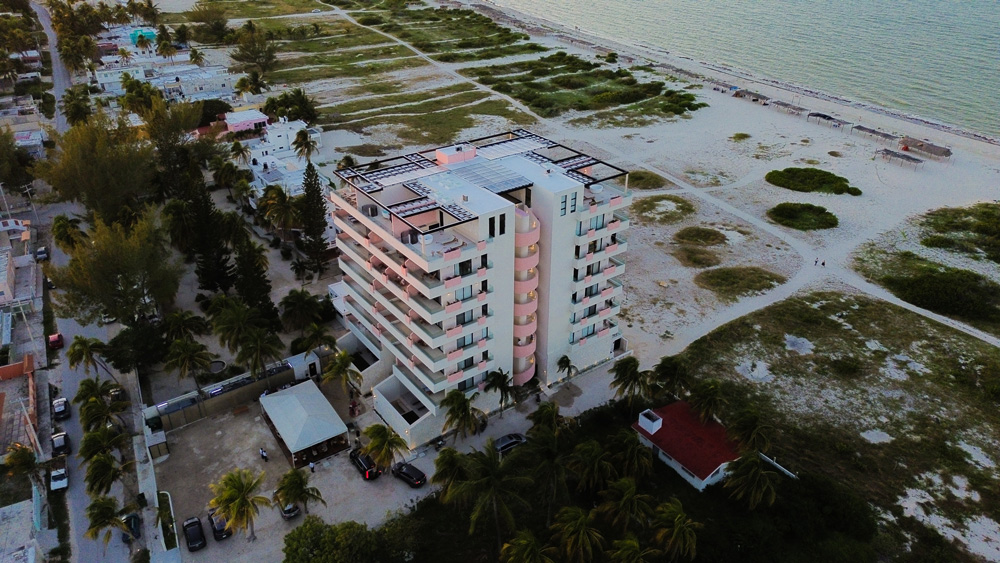 Rosa-Palmar-departamentos-Sisal