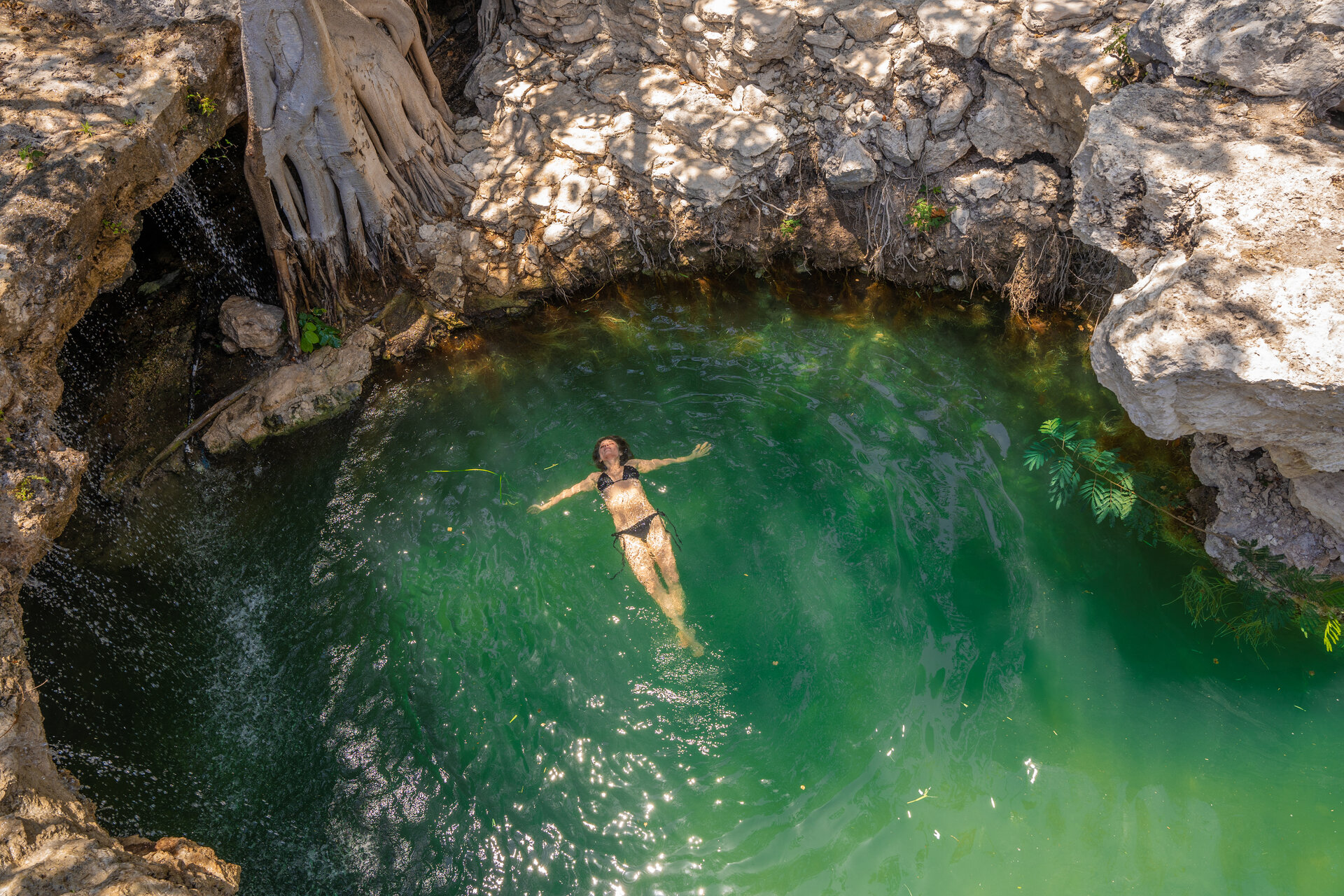 Uno de los 3 cenotes naturales operativos de Aldea Balhá en Telchac Puerto